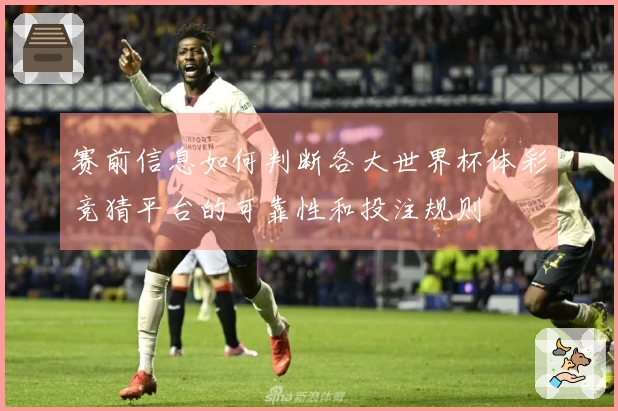 赛前信息如何判断各大世界杯体彩竞猜平台的可靠性和投注规则