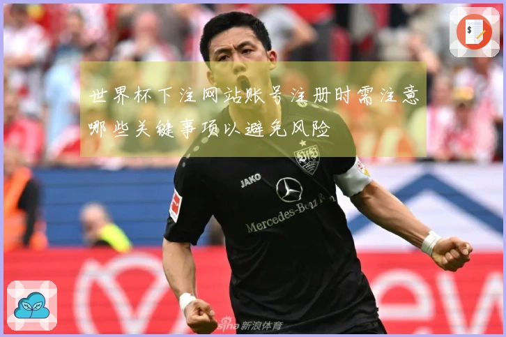 世界杯下注网站账号注册时需注意哪些关键事项以避免风险