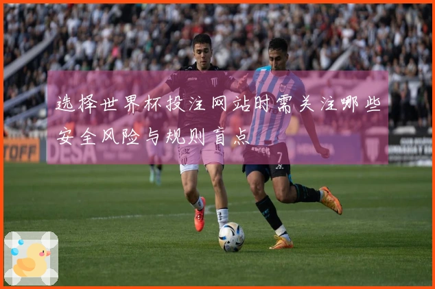 选择世界杯投注网站时需关注哪些安全风险与规则盲点