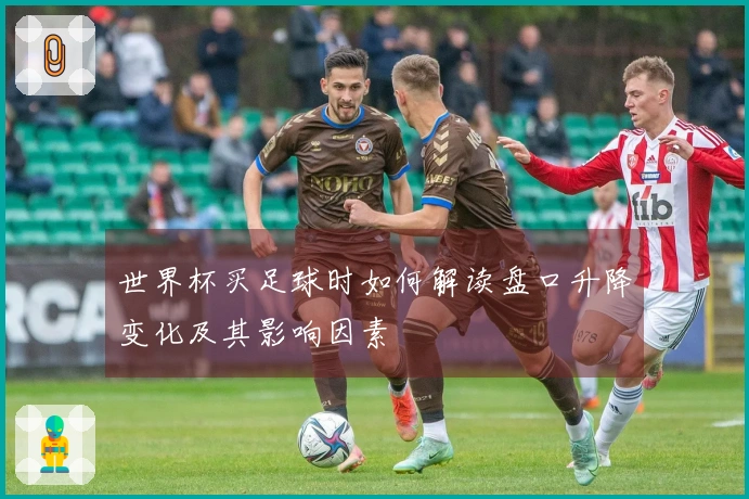 世界杯买足球时如何解读盘口升降变化及其影响因素