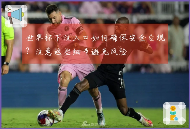 世界杯下注入口如何确保安全合规？注意这些细节避免风险