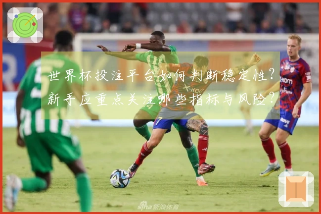 世界杯投注平台如何判断稳定性？新手应重点关注哪些指标与风险？