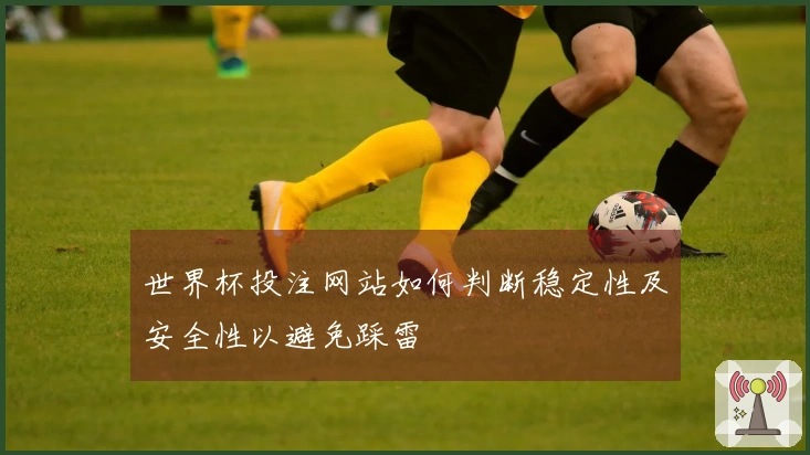 世界杯投注网站如何判断稳定性及安全性以避免踩雷