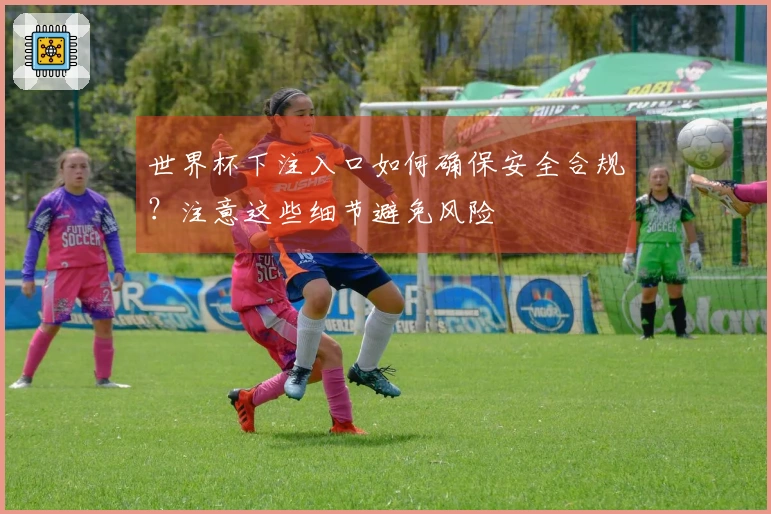 世界杯下注入口如何确保安全合规？注意这些细节避免风险