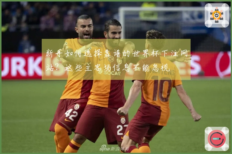 新手如何选择靠谱的世界杯下注网站？这些主客场信息不能忽视